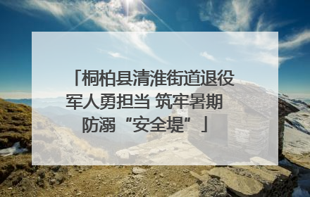 桐柏县清淮街道退役军人勇担当 筑牢暑期防溺“安全堤”